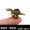 Đồ chơi trẻ em khủng long mô phỏng động vật lớn mô hình khủng long bạo chúa nhỏ Đồ chơi mô hình khủng long nhỏ - Đồ chơi gia đình