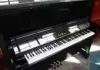 Товары от 51piano