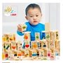 Quả bóng gỗ 100 mảnh quan hệ nhân vật chiếm ưu thế khối xây dựng kiến ​​thức bính âm của trẻ em đồ chơi domino xếp hình