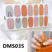 DMS035 Главная карта