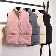 Vest nữ mùa thu 2018 mới hoang dã mỏng lỏng áo vest nữ mùa thu và mùa đông ngắn vest vest sinh viên