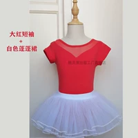 Dahong-Open Commool+White Puffbirt