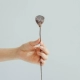 Little Lotus Puff 1 (около 2 ~ 4 см в диаметре)