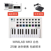 Minilab25 White+Pedal+Arranging Set