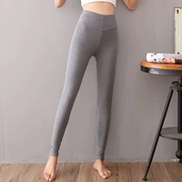 Quần mùa thu nữ chất liệu cotton đơn thân áo body body ấm quần dày quần đường kẻ quần mỏng phần cotton mặc eo cao quần tất nữ lót lông