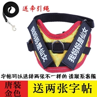 Золотая тетрадь с поводком