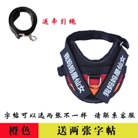 Оранжевая тетрадь с поводком