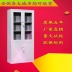 Nội thất thép tin văn phòng tập tin thông tin tủ A4 tập tin chứng từ kính ngăn kéo hai ngăn kéo kệ sách chuyên sâu Nội thất văn phòng