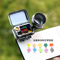 D10 Shelier Pigment+Magnetic Picking+чайник