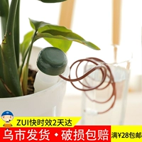Wushi Shipping Flower Petted Water Word Word Warmfront Drip Irrigation Home Creative Sading Tool