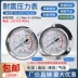 Đồng hồ đo áp suất chống sốc YN-60ZT loại trục 0-1.6MPA 