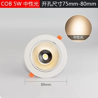 5 Вт [Нейтральный свет 4000K] Покачка