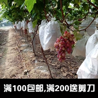 Виноградные мешки против птиц -насекомых -надежные мешки с открытыми виноградными пакетами.