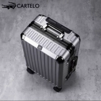 Стример серебро