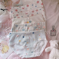 5 красивых маленьких цветов