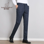 Yago lạc đà quần âu nam chính thức mặc quần dài mùa xuân và mùa thu thẳng phù hợp với quần miễn phí quần nam nóng dày
