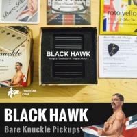 BLACK HAWK BKP Pickup Bare Knuckle Pickups Taihe instrument - Phụ kiện nhạc cụ dây đàn guitar acoustic
