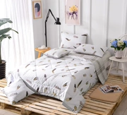Avene nhà dệt bông có thể giặt mùa hè điều hòa không khí chăn giường thoải mái đơn đôi