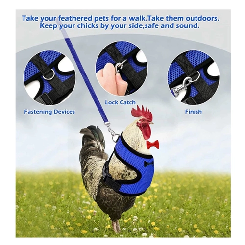 Модный жилет, комплект, комфортный дышащий чокер с бантиком