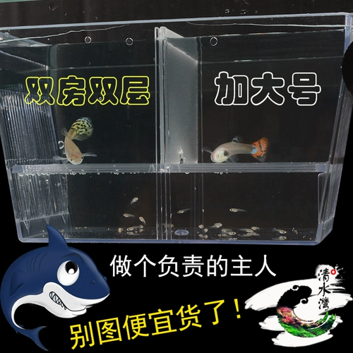 Рыба саженцы с двойной размножением коробки павлина производство рыбы Инкубационная коробка ведро рыба аквариум небольшая рыба.