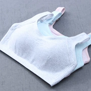 Siêu mỏng đầy đủ cotton thể thao ống hàng đầu đồ lót nữ ngực lớn cho thấy phần nhỏ mỏng không có vòng thép sinh viên nữ bra - Ống