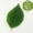 Lá nhựa mô phỏng lá trang trí hoa nhựa cây giả dải cây xanh cây nho xanh trong nhà treo trang trí - Hoa nhân tạo / Cây / Trái cây