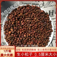 Новые товары Daxing'an Ridge дикие матотайские кедровые орехи Оригинальные сырые кедро