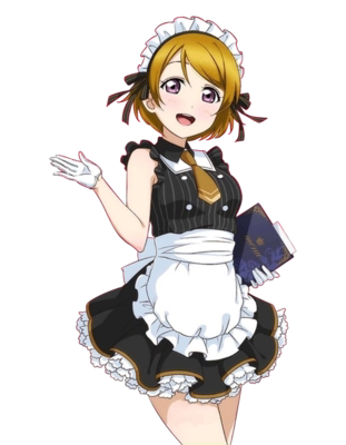 taobao agent New product lovelive2 Cafe Koizumi Flower Yang maid costume COSPLAY anime clothing set