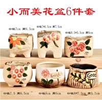 Павлин синий