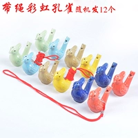 12 с веревкой радужного павлина