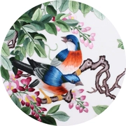 Tô Châu thêu DIY người mới bắt đầu giới thiệu bộ dụng cụ quét hoa và thêu chim hàng loạt cơ sở - Bộ dụng cụ thêu