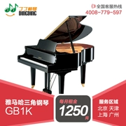 Đinh Đinh Qinqin Bắc Kinh Thượng Hải Thiên Tân Hàng Châu Cho thuê đàn piano mới Yamaha Grand Piano GB1K - dương cầm