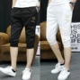 Cắt quần của nam giới quần âu Slim Hàn Quốc phiên bản của quần xu hướng hoang dã thanh niên trai quần short phần mỏng 7 quần nam quần kaki nam ống đứng
