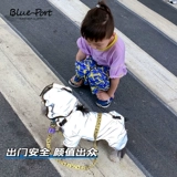 Blueoport Dog Paint Paint Paint Paint Paint Paint Paintranperewranea с четырьмя выдвинуты