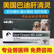 American Badi gan HD-X100 Canine Cat gan Thuốc điều trị bệnh viêm gan gan cứng cổ trướng l hai - Cat / Dog Health bổ sung