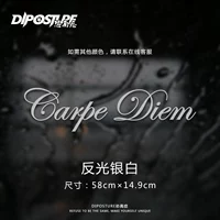 Carpe-Diem большой отражающий серебряный белый