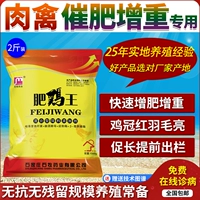 Жирные цыпленки -царя зверей с мясой куриной уткой и гусиных голубей побуждают вес вес, удобрения и курицы кишечника для стимулирования добавок удобрений роста