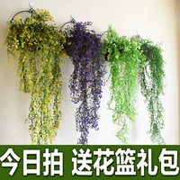 Cây xanh treo tường treo mây trong nhà giả treo hoa lan treo tường cây xanh trang trí hoa nhân tạo - Hoa nhân tạo / Cây / Trái cây chậu hoa giả