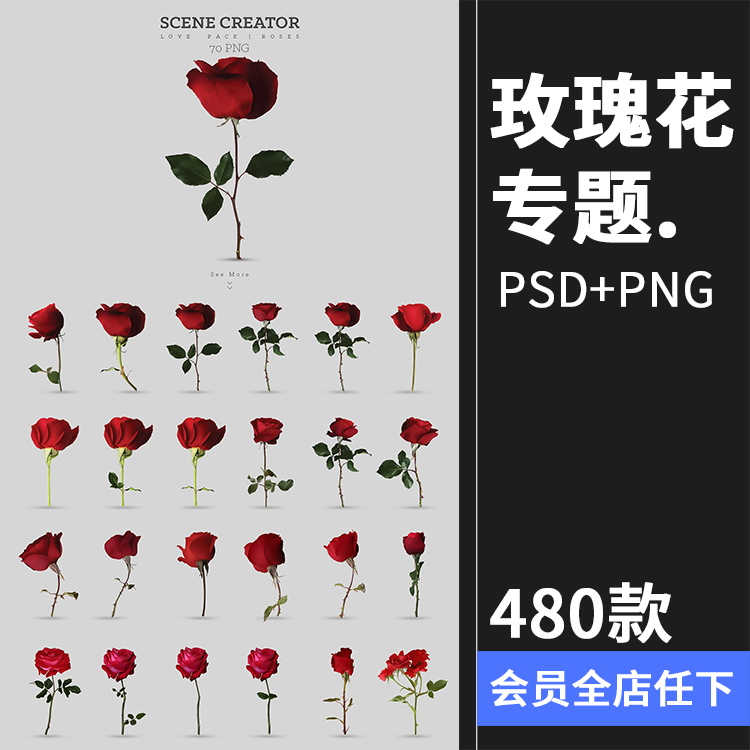 480款玫瑰花专题 各色花瓣花枝单支手绘婚礼情人节PSD模板PNG免抠素材