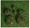 Trồng đá mô phỏng đá xanh đá mô phỏng rêu đá rêu hoa sắp xếp vật liệu đá rêu - Hoa nhân tạo / Cây / Trái cây hoa hồng giả đẹp