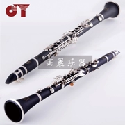 Nhạc cụ clarinet vàng chính hãng màu đen nút mạ bạc thả B giai điệu cho người mới bắt đầu nhập cảnh JYCL-2000S - Nhạc cụ phương Tây