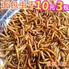 Товары от 鼠鼠人家小宠乐园