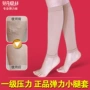 Chính hãng bê bộ chống protrusion bảo vệ stovepipe quần căng vớ chân vớ vớ vớ phụ nữ mang thai giáo viên sinh viên tất cao cổ