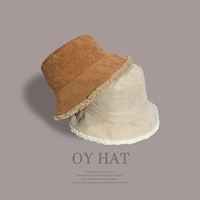 Демисезонная двусторонная утепленная вельветовая шапка для отдыха, в корейском стиле