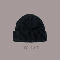 Кепка, демисезонная японская зимняя шерстяная брендовая вязаная шапка в стиле хип-хоп, в корейском стиле