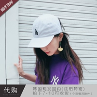 Безуниверситет белого черного LA