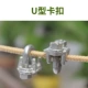 U -shape пряжка/одна