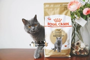 Nước sốt Mèo nhà Royal Canin Royal Cat Food Anh Thức ăn cho mèo ngắn BS34 Anh Shorthair Cat Food 2kg