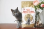 Nước sốt Mèo nhà Royal Canin Royal Cat Food Anh Thức ăn cho mèo ngắn BS34 Anh Shorthair Cat Food 2kg hạt whiskas