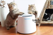 Nước sốt mèo Nhà máy lọc không khí Pet Máy giặt Nhật Bản tiệt trùng mèo nhà AIR MEDIC Baoshun